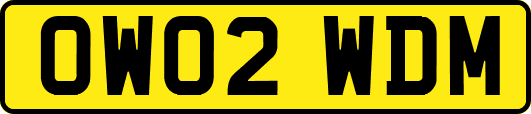 OW02WDM