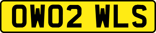 OW02WLS