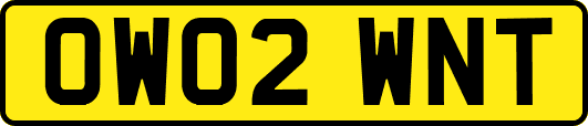 OW02WNT