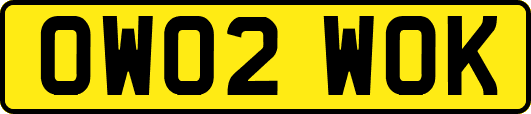 OW02WOK