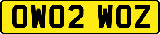 OW02WOZ