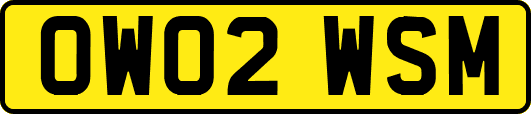 OW02WSM