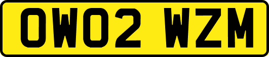OW02WZM