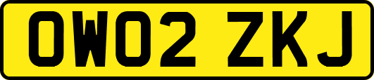 OW02ZKJ