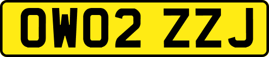 OW02ZZJ