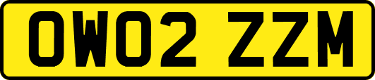OW02ZZM