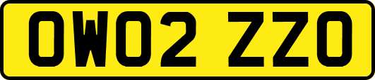 OW02ZZO