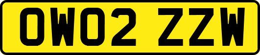 OW02ZZW