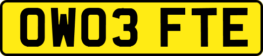 OW03FTE