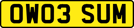 OW03SUM