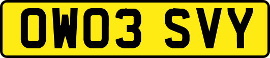 OW03SVY