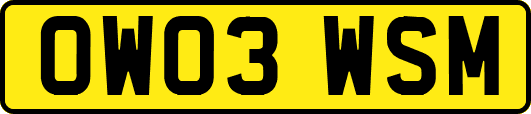 OW03WSM
