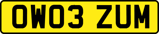 OW03ZUM