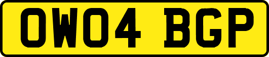 OW04BGP