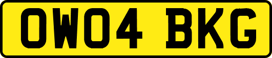 OW04BKG
