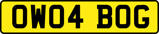 OW04BOG