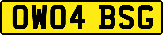 OW04BSG
