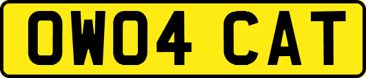 OW04CAT