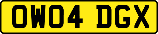 OW04DGX