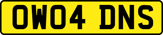 OW04DNS