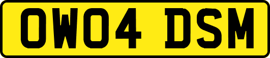 OW04DSM
