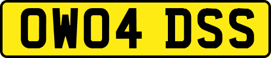 OW04DSS