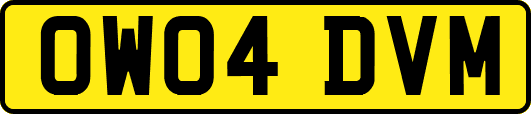 OW04DVM