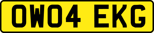 OW04EKG