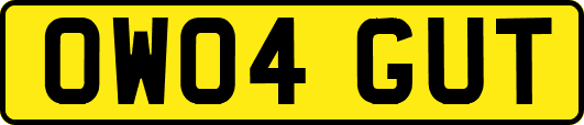 OW04GUT