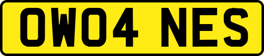 OW04NES