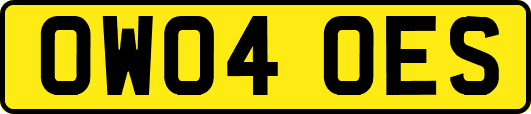 OW04OES