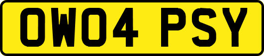 OW04PSY