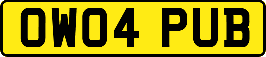 OW04PUB