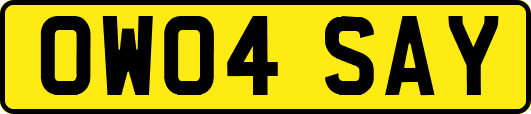 OW04SAY