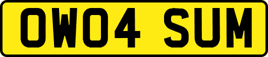 OW04SUM