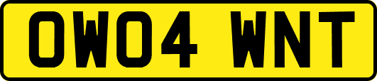 OW04WNT