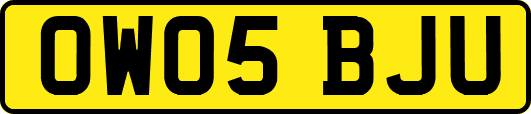 OW05BJU