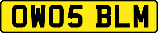 OW05BLM