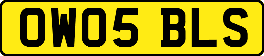 OW05BLS