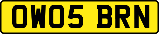 OW05BRN