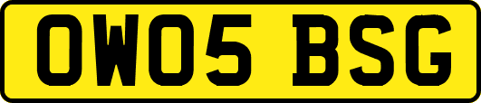 OW05BSG