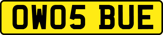 OW05BUE