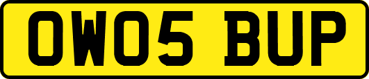 OW05BUP