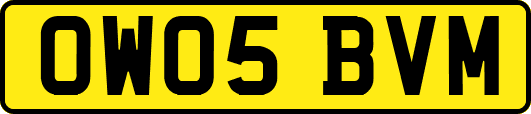 OW05BVM