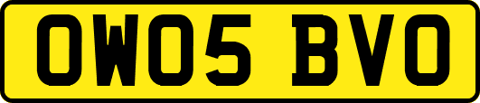 OW05BVO