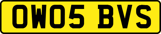 OW05BVS