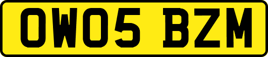 OW05BZM