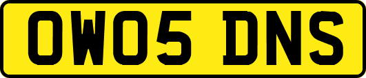 OW05DNS