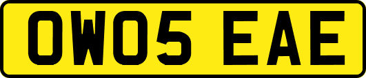 OW05EAE