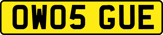 OW05GUE